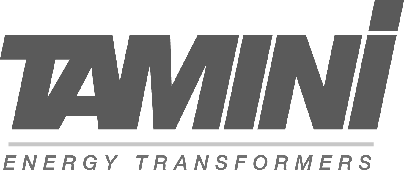 Tamini is the leading Italian company in the world for the design and production of industrial, power and special transformers.
