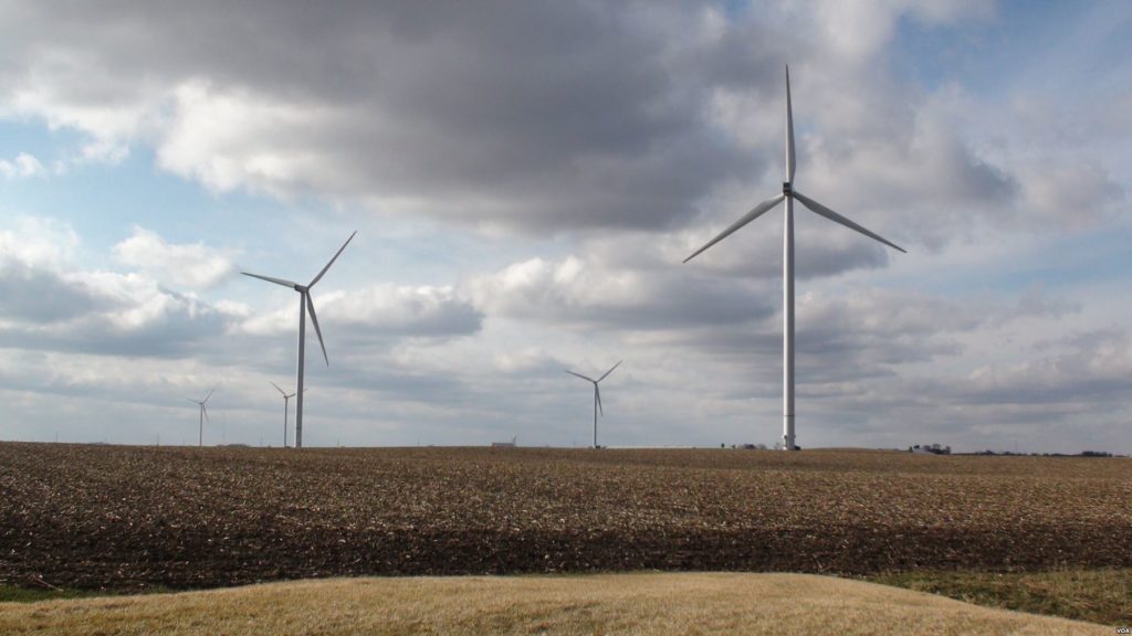 Un campo con pale eoliche sullo sfondo