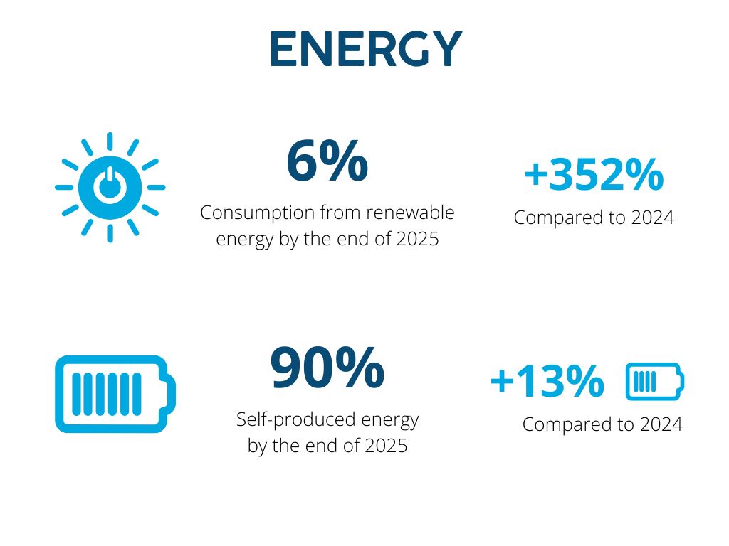 Energy renewable year 2025