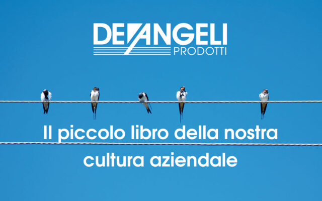 Il Piccolo Libro della Nostra Cultura Aziendale