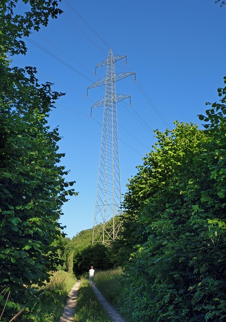Green power line conductor